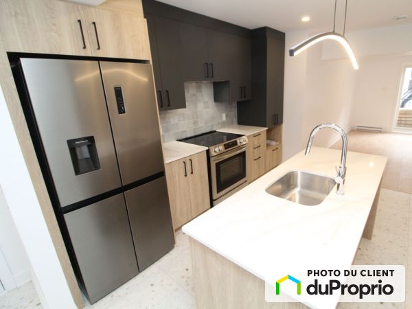 3 1/2-3810 rue Rachel Est, Rosemont / La Petite Patrie for rent