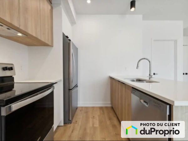 .-255, Rue Nancy-Elliott, Gatineau (Aylmer) à louer