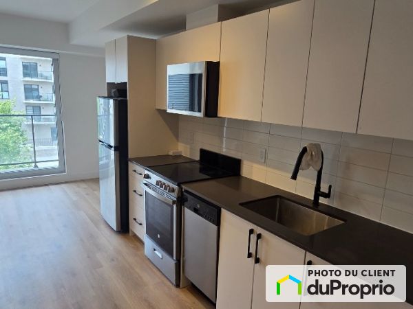 309-1133, av. Viger E, Ville-Marie (Centre-Ville et Vieux-Montréal) à louer