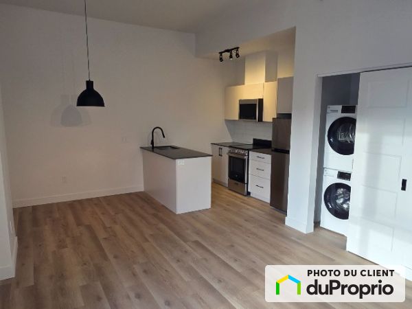 604-1133 av. Viger E, Ville-Marie (Centre-Ville et Vieux-Montréal) for rent