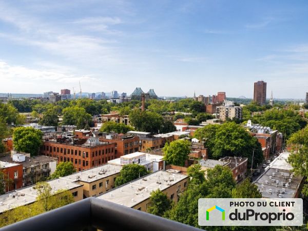 1150, Rue Sherbrooke, Le Plateau-Mont-Royal à louer