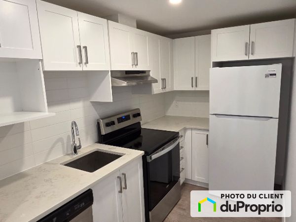 6661 rue cartier, Rosemont / La Petite Patrie for rent