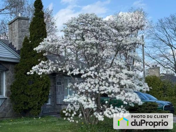 519, Beaconsfield Blvd, Beaconsfield / Baie-D'Urfé à louer