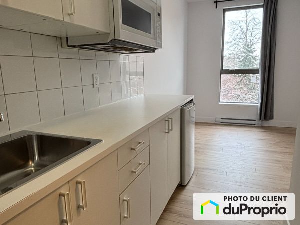 1024, rue Sherbrooke, Le Plateau-Mont-Royal à louer