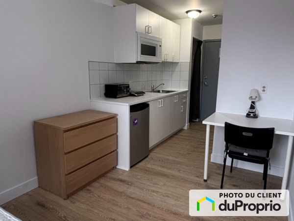 1024, rue sherbrooke, Le Plateau-Mont-Royal à louer