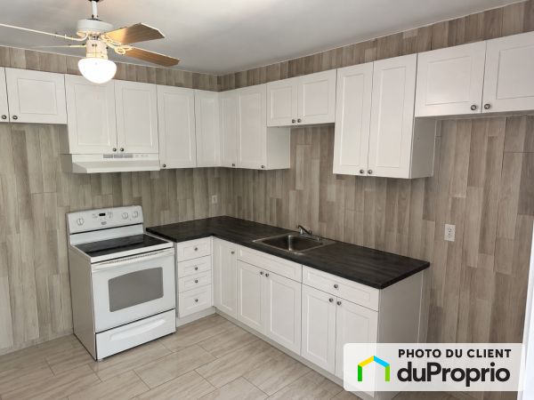 Apartment - 2893 boul Rosemont, Rosemont / La Petite Patrie for rent