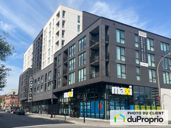 1815 rue Sainte-Catherine Est, Ville-Marie (Centre-Ville et Vieux-Montréal) for rent