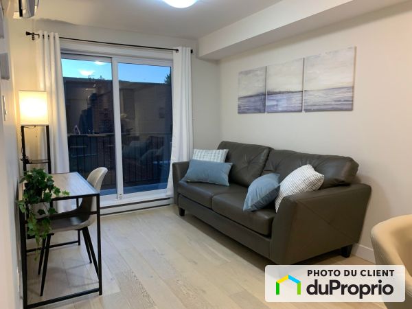 12-2527, Rue de Rouen, Ville-Marie (Centre-Ville et Vieux-Montréal) à louer