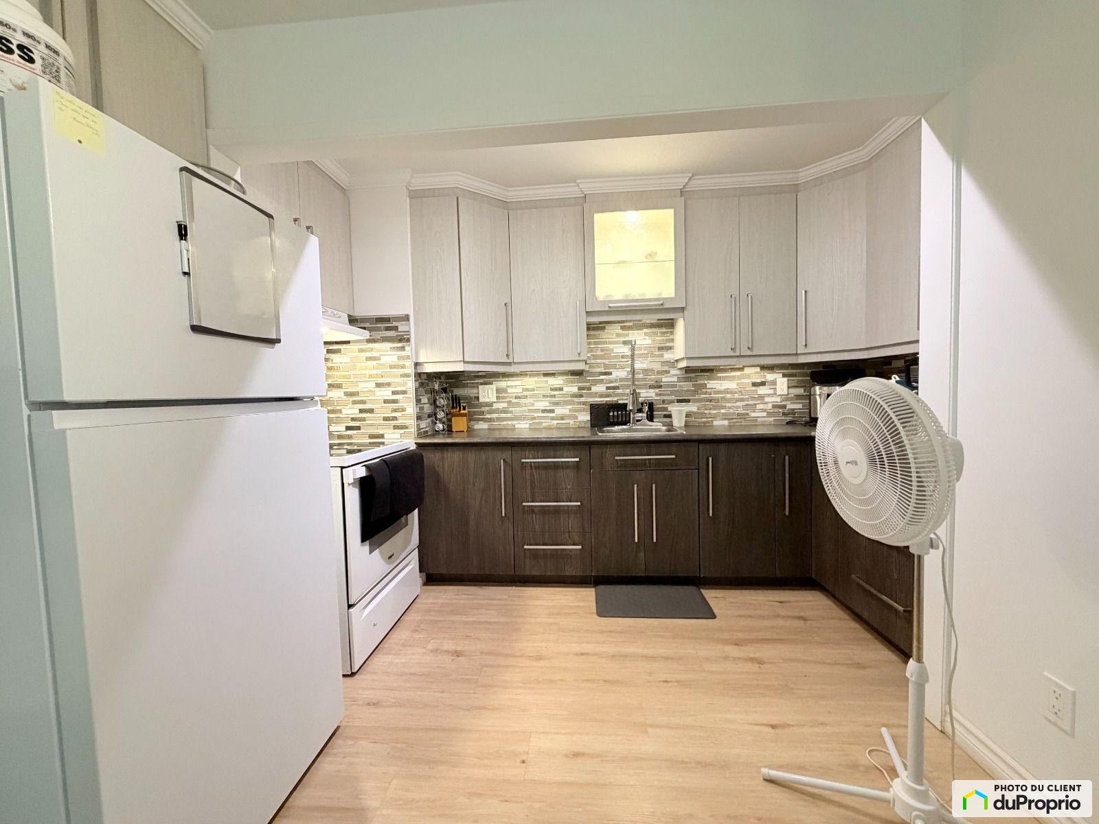 19-1017, avenue Duchesneau — photo 2
