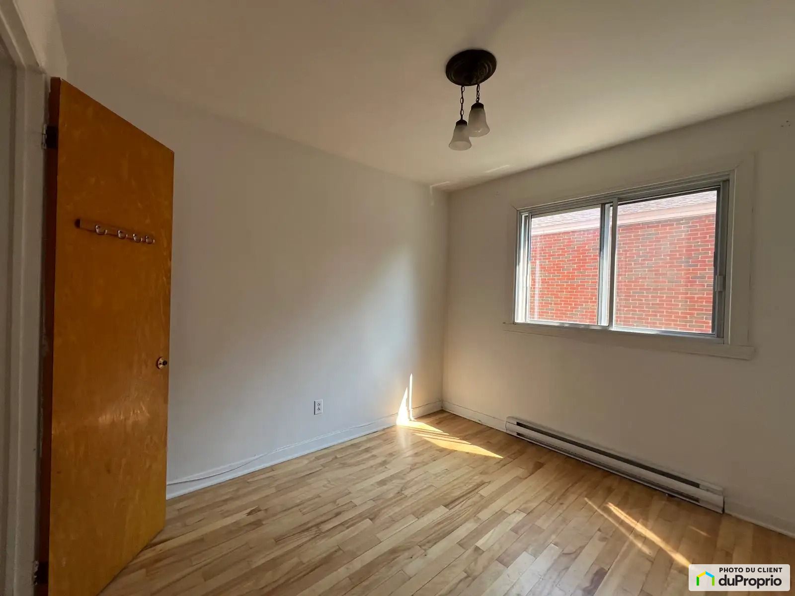 8060, Rue Saint-Dominique — photo 2