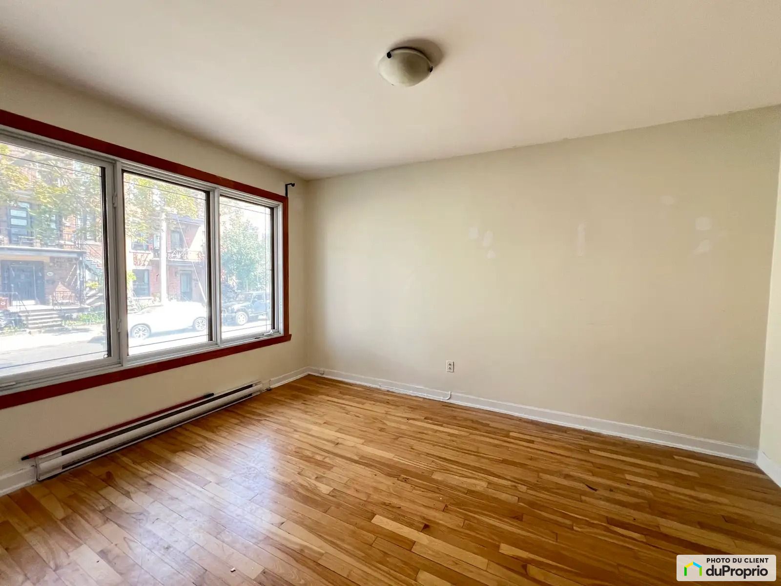8060, Rue Saint-Dominique — photo 3