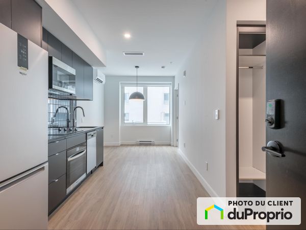 1200, Ste-Élisabeth, Ville-Marie (Centre-Ville et Vieux-Montréal) à louer