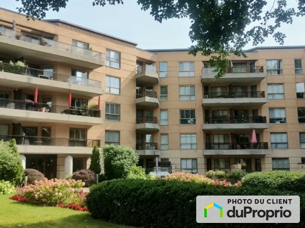 Backyard - 508-4800 Bossuet, Mercier / Hochelaga / Maisonneuve for rent