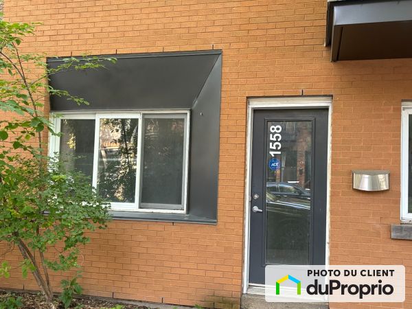 1558 Marie-Anne est, Le Plateau-Mont-Royal for rent