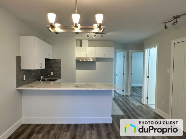 1780 Saint-Timothé, Le Plateau-Mont-Royal for rent