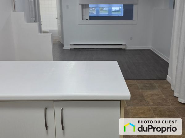 66, rue Charpentier, Gatineau (Gatineau) à louer