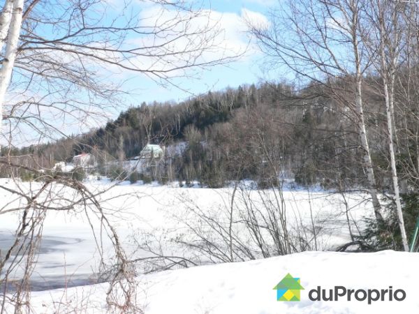 Lac Des Cygnes — photo 3