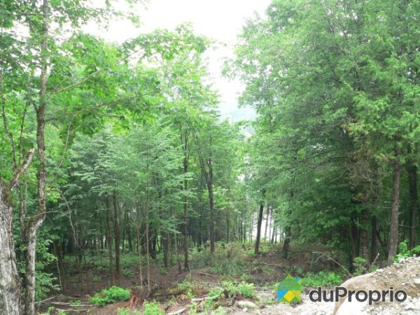 Lac Des Cygnes — photo 2