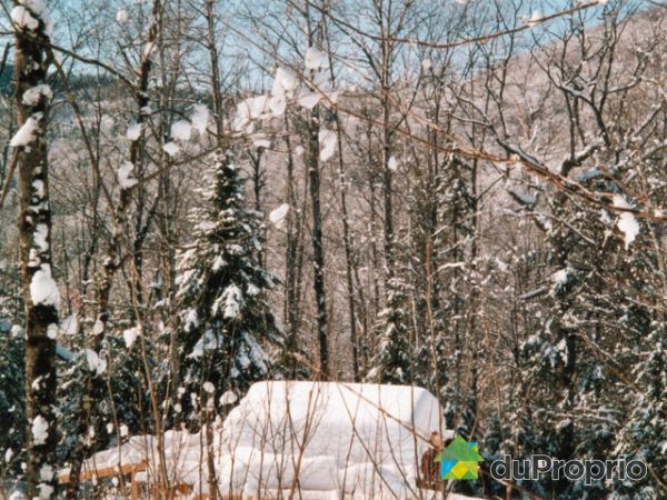 1810 Chemin Du Parc — photo 3