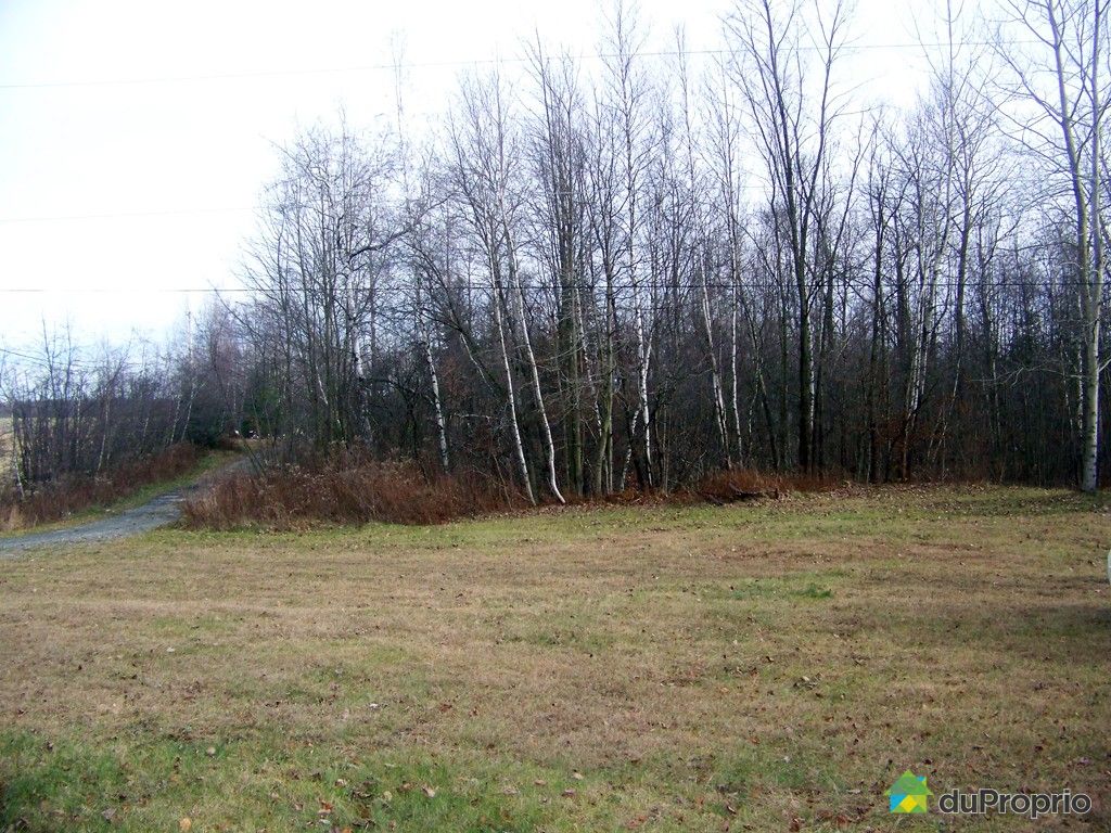 Immobilier Agricole Estrie Et Monteregie Terrains Fermes A Vendre