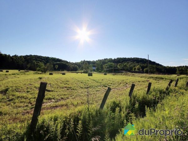 Outaouais terre a vendre Fermes à