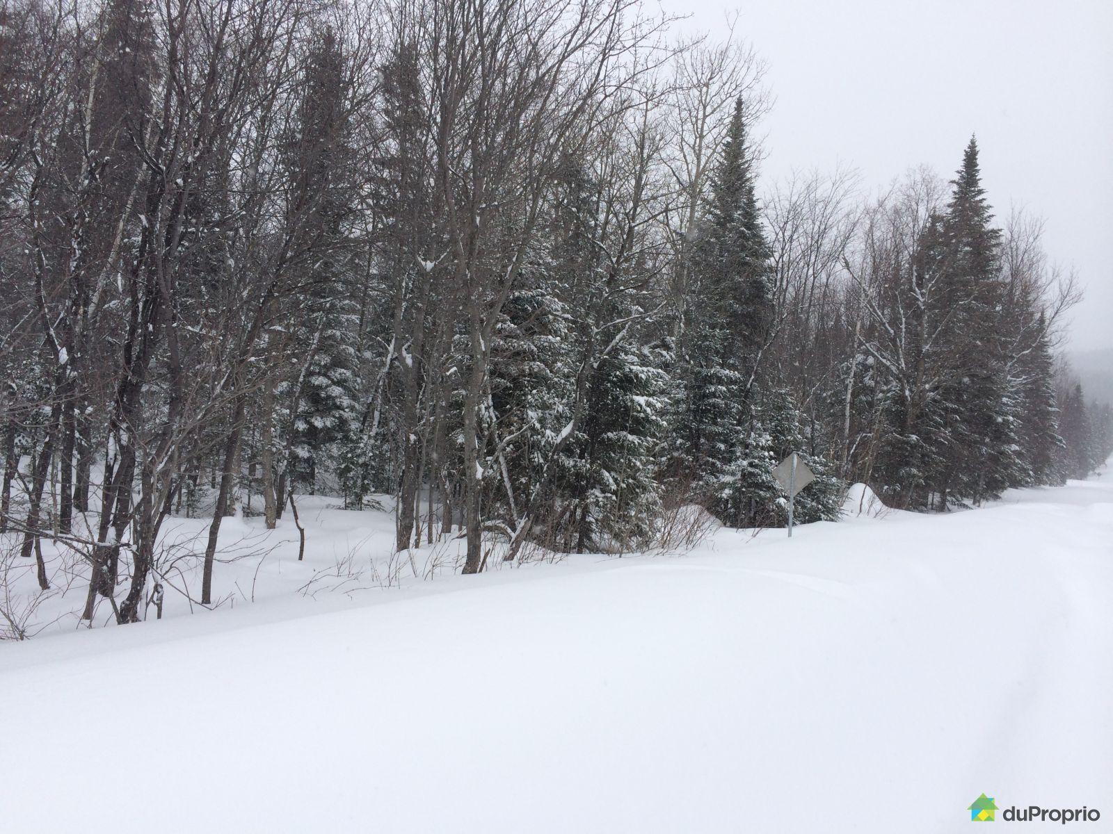 Terrain résidentiel à vendre PetiteRivièreStFrançois 590969