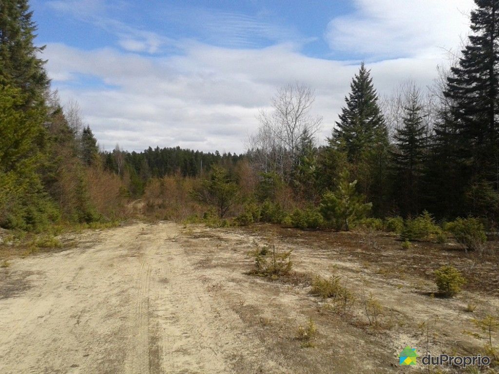 Terrains à vendre, RivièreRouge