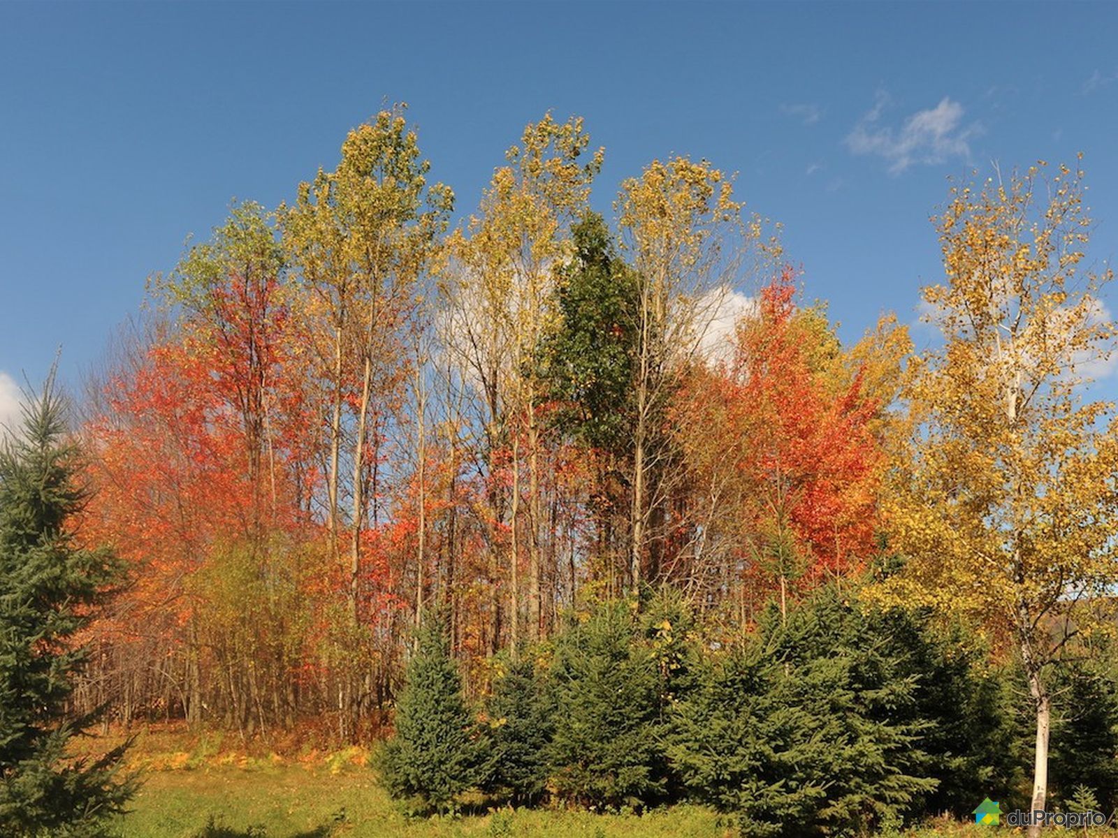 Chemin de Lotbinière, Bromont à vendre DuProprio
