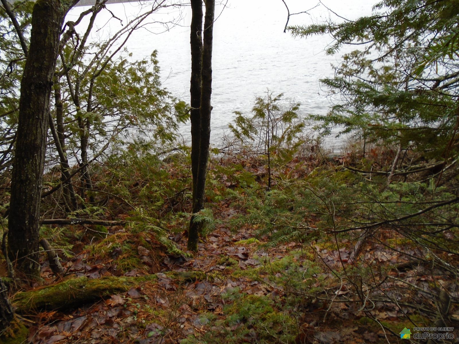 Chemin Mccann — photo 3