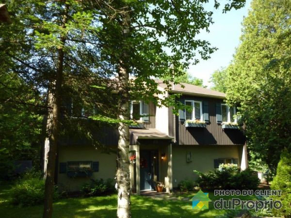 Summer Front - 8 chemin des Perdrix, Ste-Anne-Des-Lacs for sale