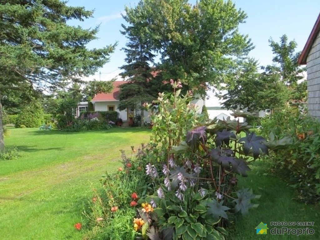 Maison Ancestrale A Vendre Berthier Sur Mer exterieur-fermette-berthier-sur-mer-1024-6199200.jpg