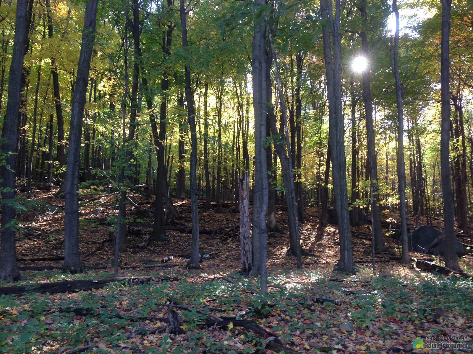 rue des Chardonnerets, MontStHilaire à vendre DuProprio rue des Chardonnerets, MontStHilaire à vendre DuProprio