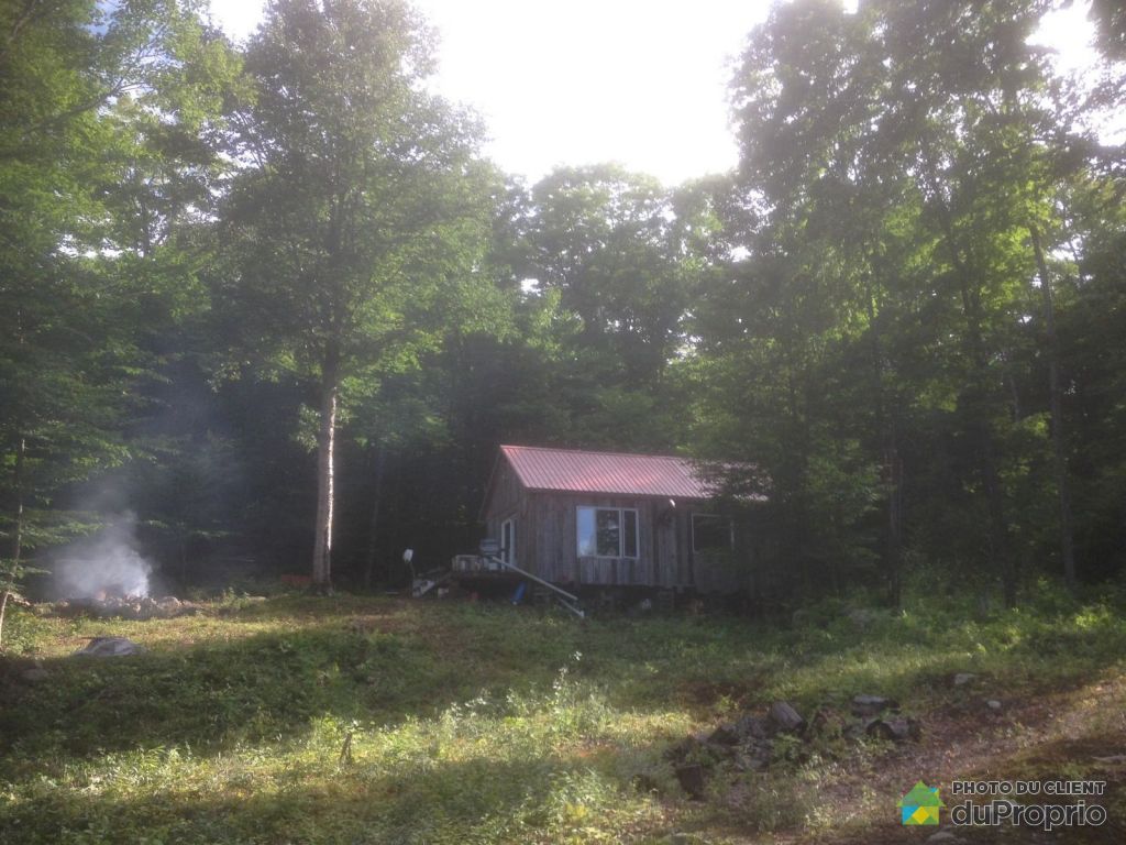Chalet à Vendre Lac Souris Du Proprio Propriété vendue à St-Alexis-Des-Monts - Chalet