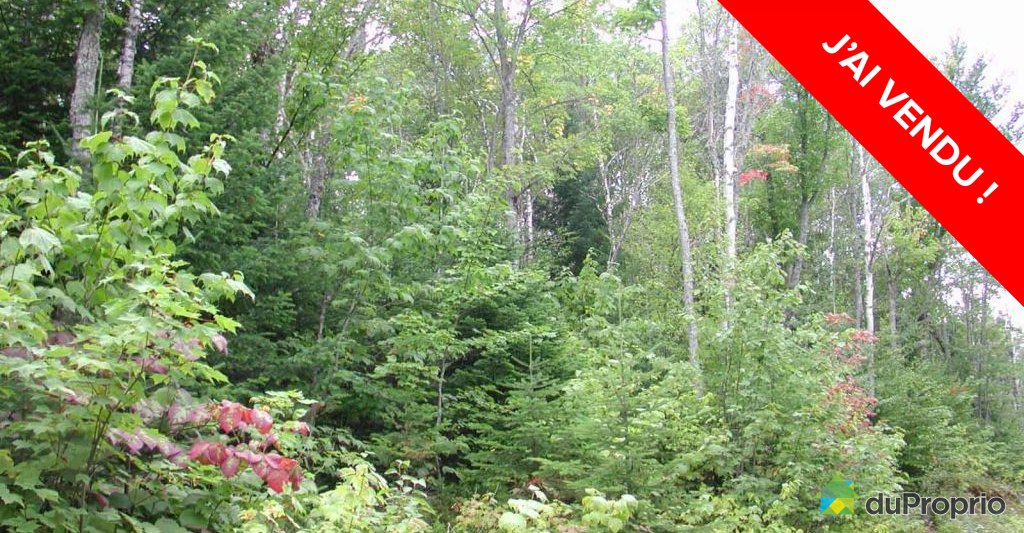 terrainresidentielpetiterivierestfrancois16003293489vendu.jpg