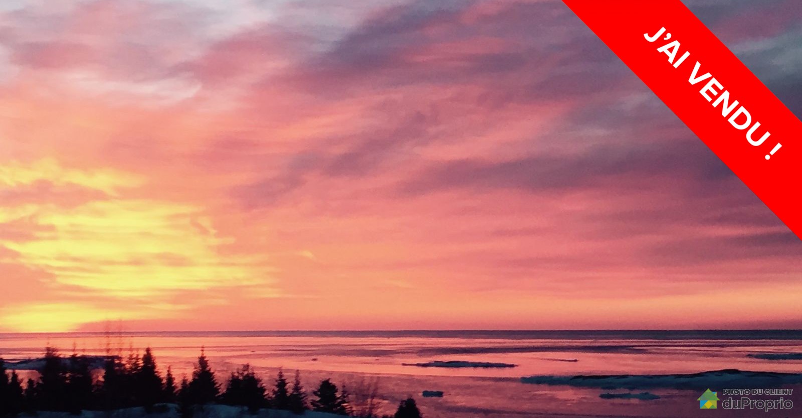 courarrierebungalowportcartierrivierepentecote16005609330vendu.jpg