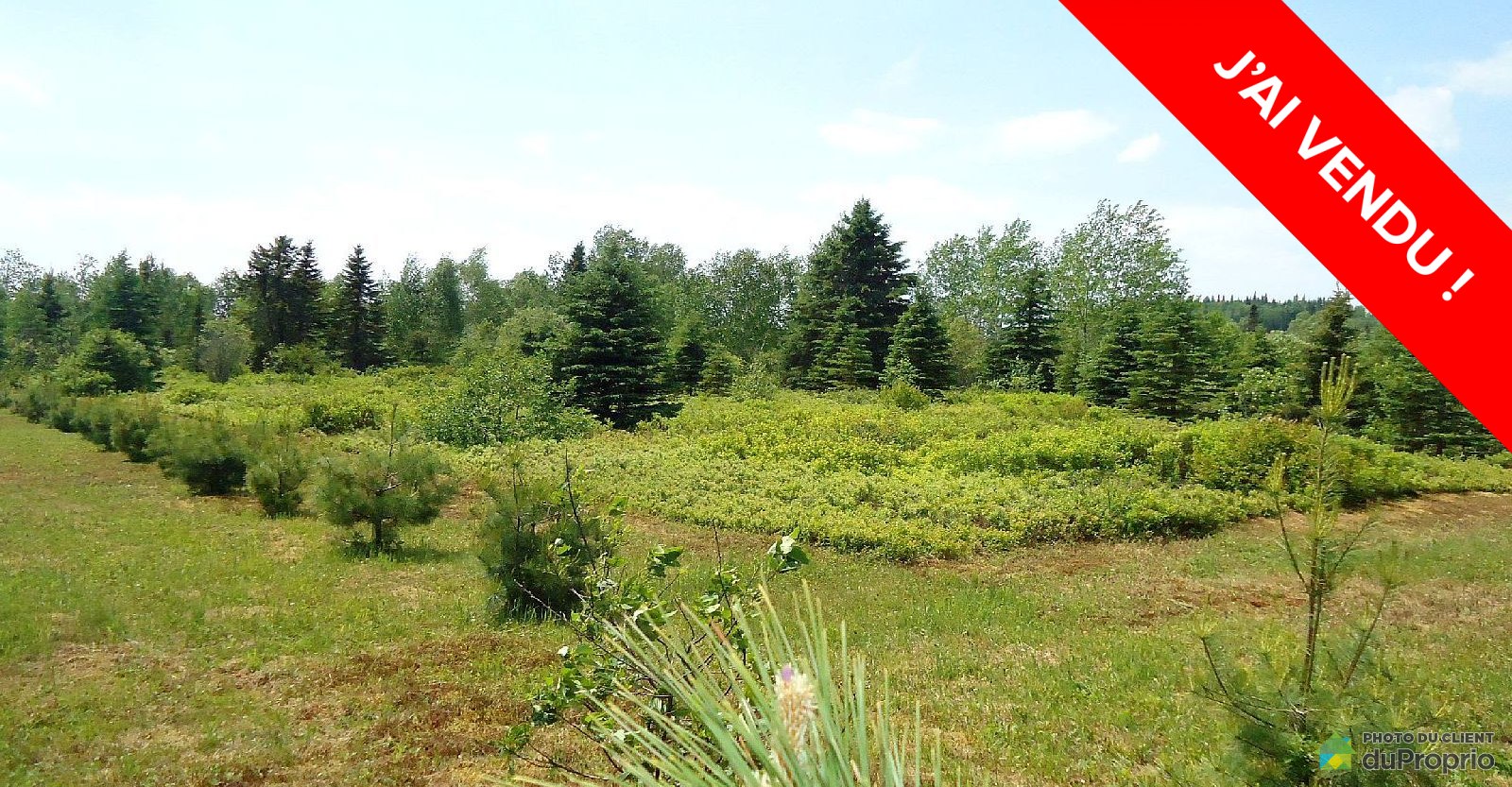 terrainterrainresidentiellatuquelacedouard16006322868vendu.jpg