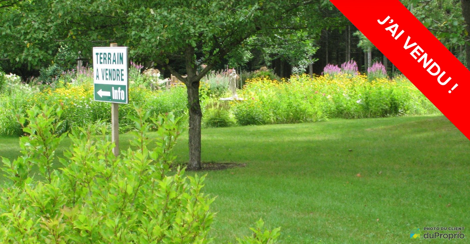 vuedensembleterrainresidentielpontrouge16006933292vendu.jpg