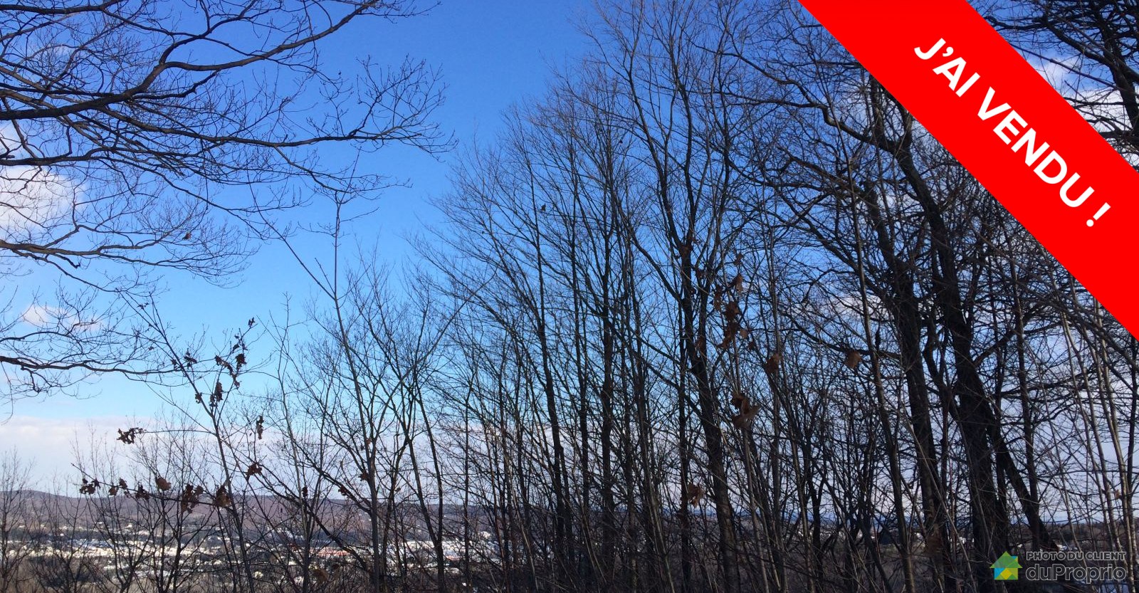 terrainterrainresidentielsteannedeslacs16008645047vendu.jpg