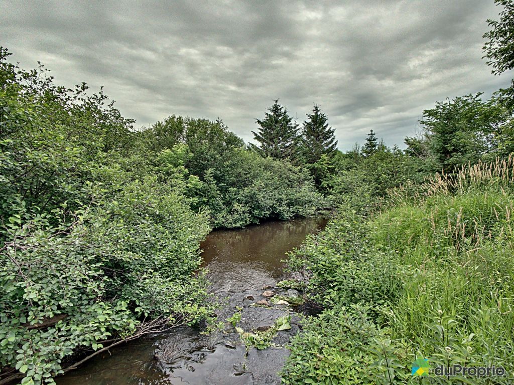 380 Chemin Ville Marie Pintendre à Vendre