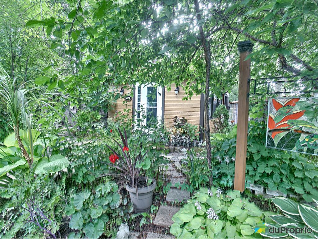 Download Au nord de la plage plantation condo 4 chambres Free