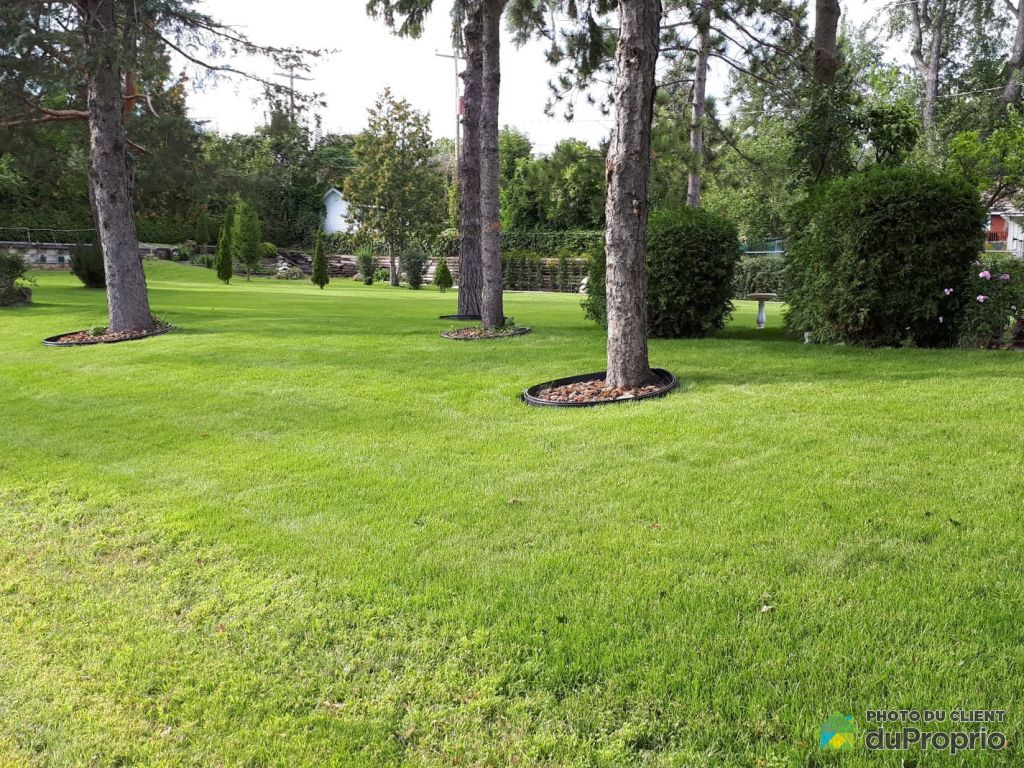 Xx Rue Saint Marc Chateauguay For Sale Duproprio