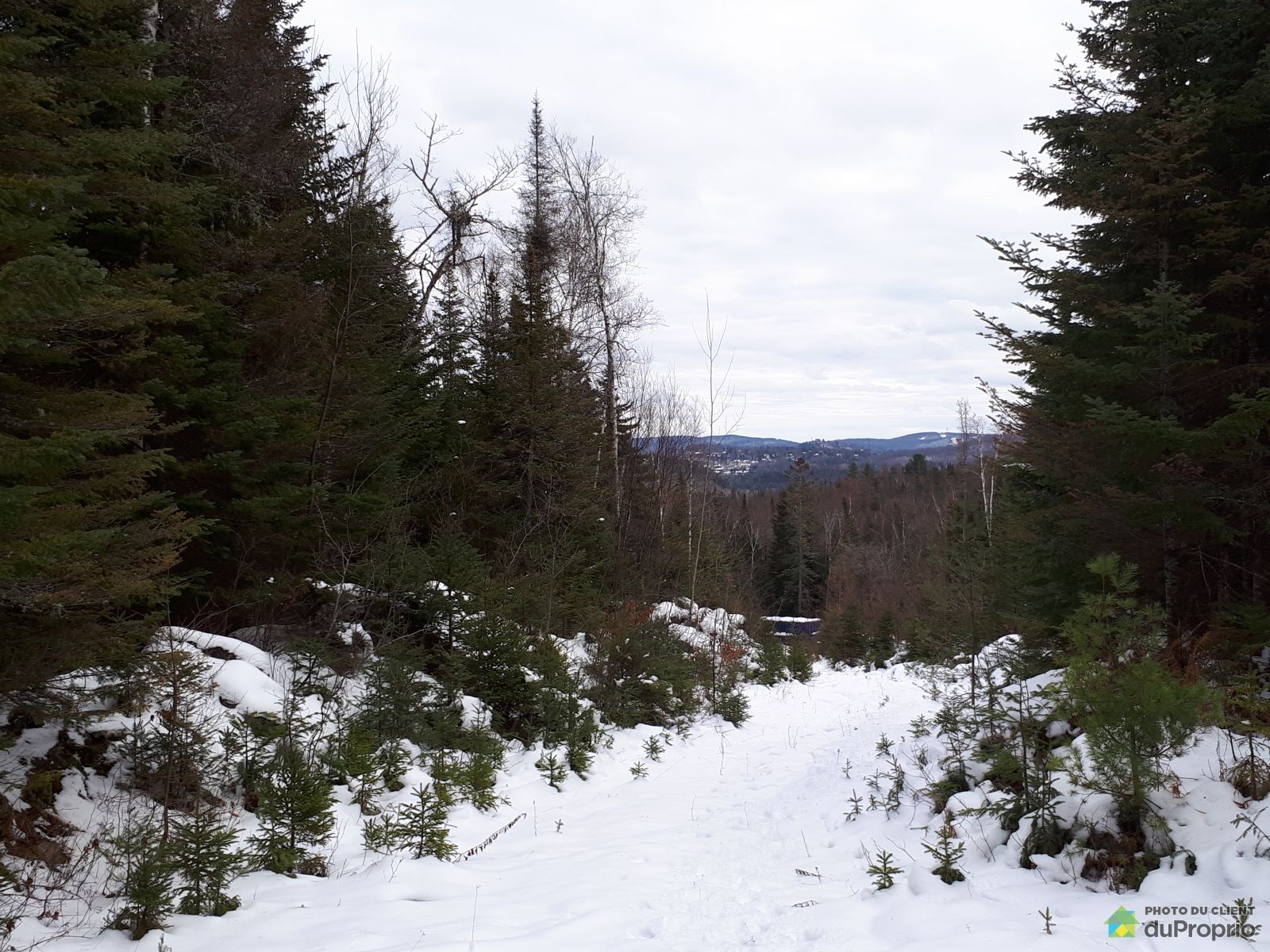 4148 Chemin Du Moulin — photo 1