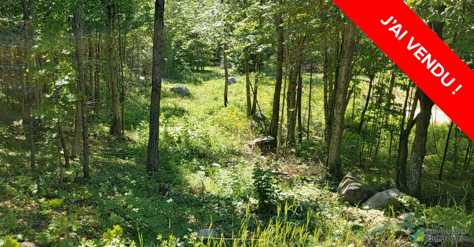 terrainresidentielfossambaultsurlelac160011319420vendu.jpg
