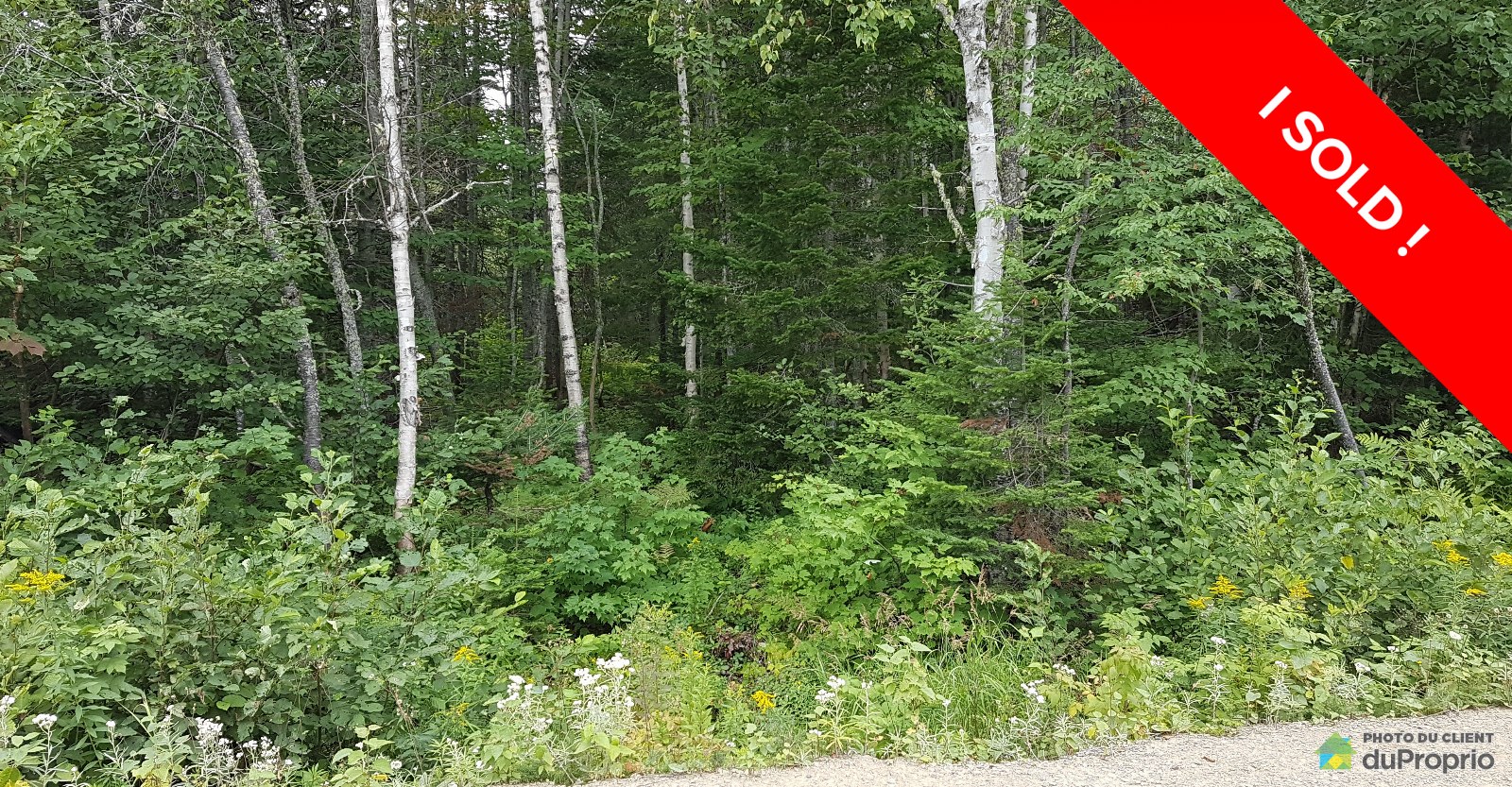 terrainterrainresidentielpetiterivierestfrancois160011501468