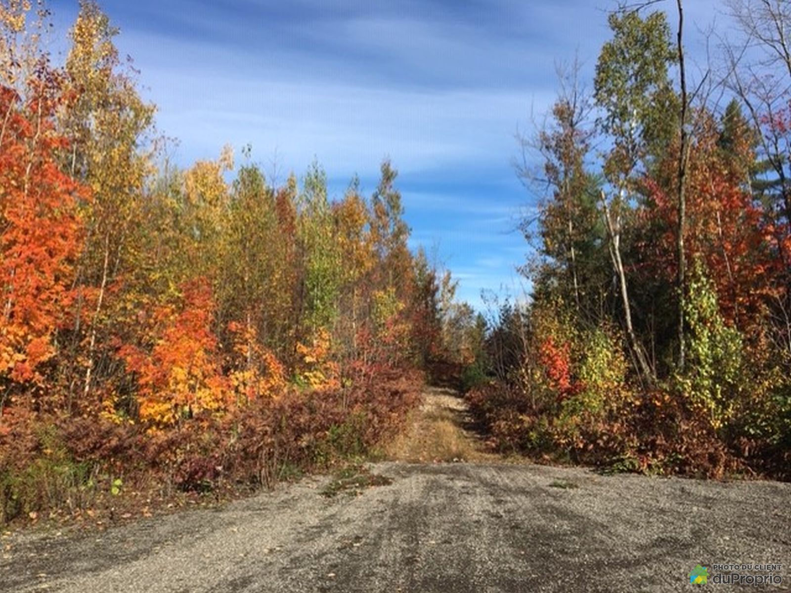 rue du Tournesol, StCalixte for sale DuProprio