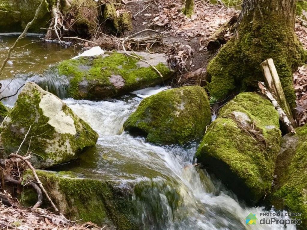 La Pêche (Wakefield) Real Estate for sale DuProprio