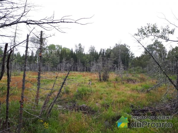 rang Sainte-Anne, La Malbaie (St-Fidèle) à vendre
