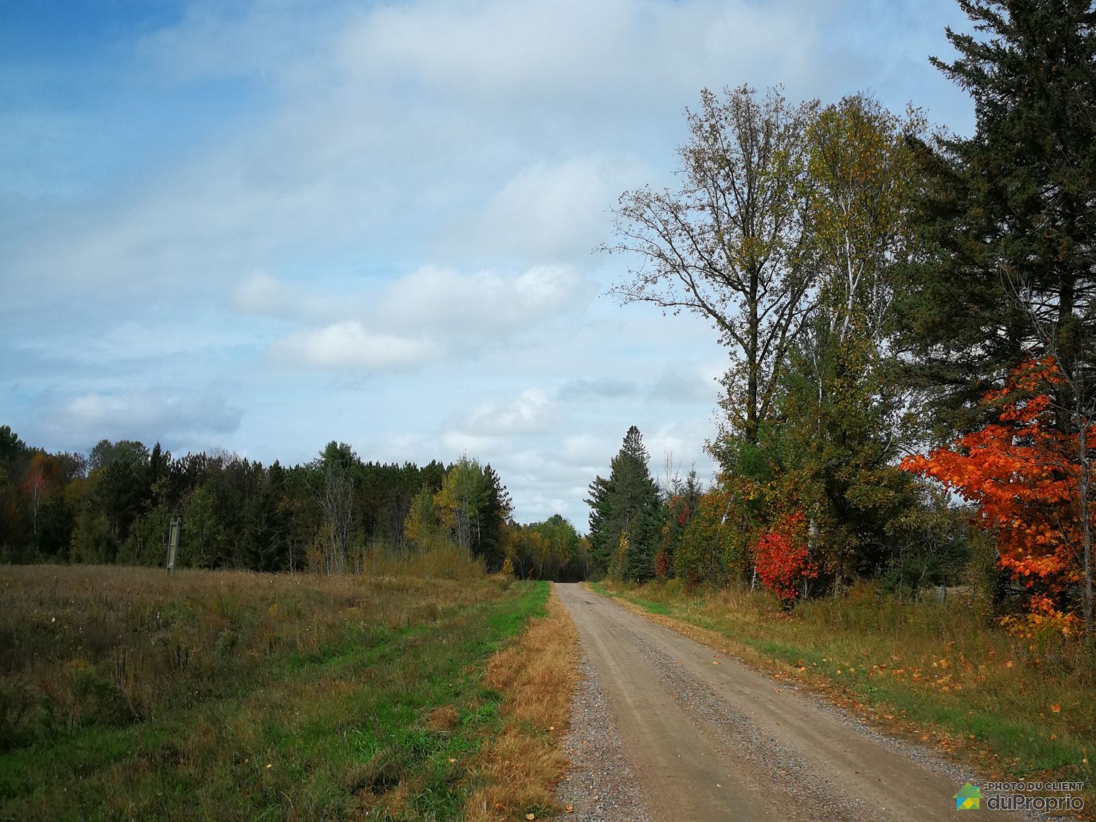20 Chemin Baird — photo 3