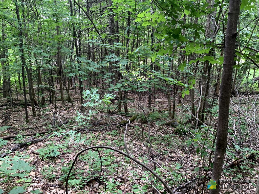 Terrains à vendre, Rawdon DuProprio