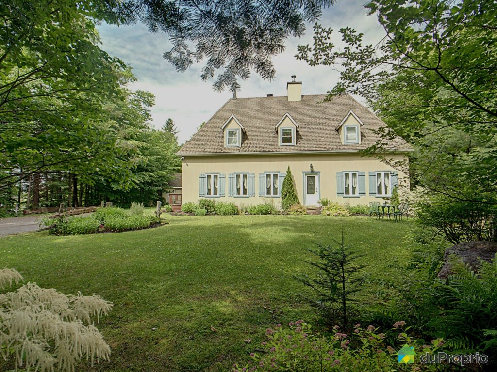 Condos, maisons à vendre, StSauveur DuProprio